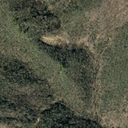 Satellite imagery of Big Fork Ridge, US