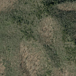 Satellite imagery of Big Fork Ridge, US