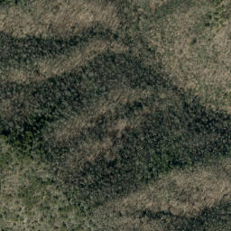 Satellite imagery of Big Fork Ridge, US