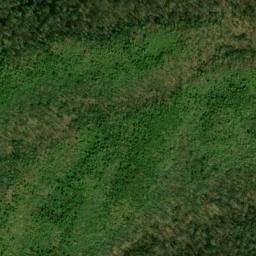 Satellite imagery of Chinquapin Ridge, US