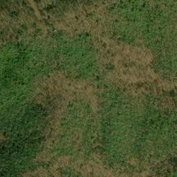 Satellite imagery of Chinquapin Ridge, US