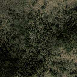Satellite imagery of Balsam Mountain, US
