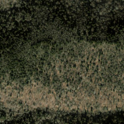 Satellite imagery of Balsam Mountain, US