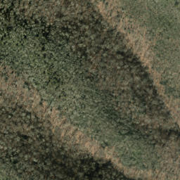 Satellite imagery of Long Bunk, US