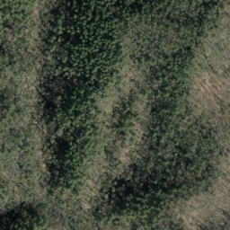 Satellite imagery of Slim Ridge, US
