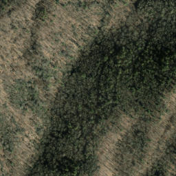 Satellite imagery of Coffee Ridge, US