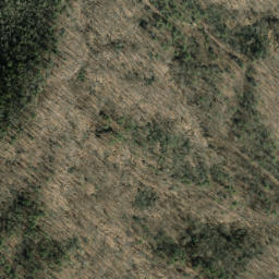 Satellite imagery of Coffee Ridge, US