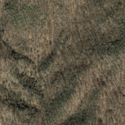 Satellite imagery of Robinson Rough, US