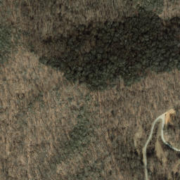 Satellite imagery of Robinson Rough, US