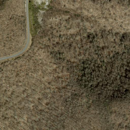 Satellite imagery of Craggy Gardens, US
