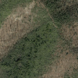 Satellite imagery of Grassy Ridge, US