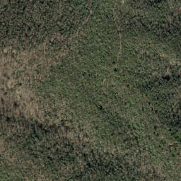Satellite imagery of Grassy Ridge, US
