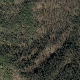 Satellite imagery of Grassy Ridge, US