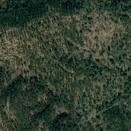 Satellite imagery of Long Mountain, US