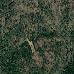 Satellite imagery of Long Mountain, US