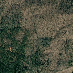 Satellite imagery of Long Mountain, US