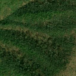 Satellite imagery of Chinquapin Ridge, US