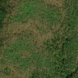 Satellite imagery of Chinquapin Ridge, US