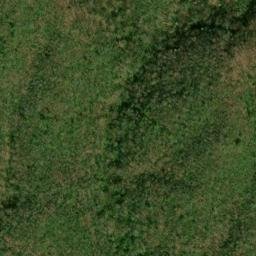 Satellite imagery of Chinquapin Ridge, US