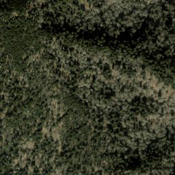 Satellite imagery of Balsam Mountain, US