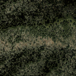 Satellite imagery of Balsam Mountain, US