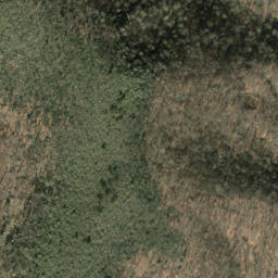 Satellite imagery of Rough Ridge, US