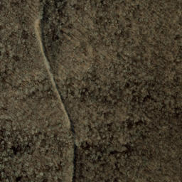 Satellite imagery of Craggy Gardens, US