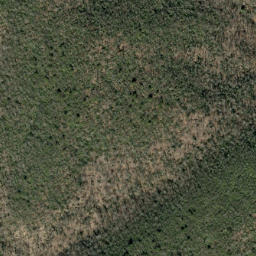 Satellite imagery of Grassy Ridge, US