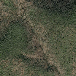Satellite imagery of Grassy Ridge, US