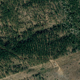Satellite imagery of Long Mountain, US
