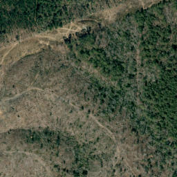 Satellite imagery of Long Mountain, US