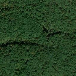 Satellite imagery of Dog Ridge, US