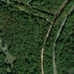 Satellite imagery of Dog Ridge, US