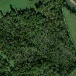 Satellite imagery of Delk Bluff, US