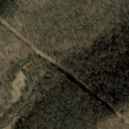 Satellite imagery of Morgan Ridge, US