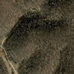 Satellite imagery of Morgan Ridge, US