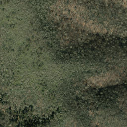 Satellite imagery of Rough Ridge, US