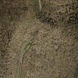 Satellite imagery of Craggy Gardens, US