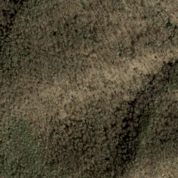 Satellite imagery of Craggy Gardens, US