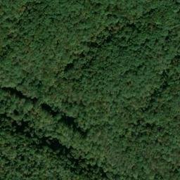 Satellite imagery of Dog Ridge, US