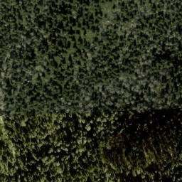 Satellite imagery of Dasohga Ridge, US