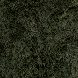 Satellite imagery of Sevenmile Beech Ridge, US