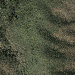 Satellite imagery of Rough Ridge, US