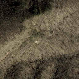 Satellite imagery of Brushy Ridge, US
