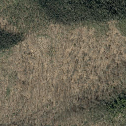 Satellite imagery of Moses Ridge, US
