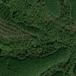 Satellite imagery of Copperas Branch Prospect, US
