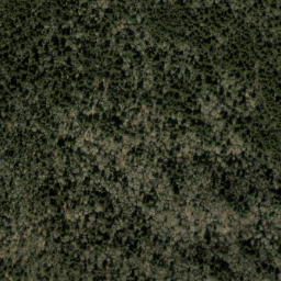 Satellite imagery of Shawano Ridge, US