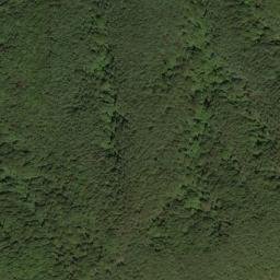 Satellite imagery of survey_point, JP