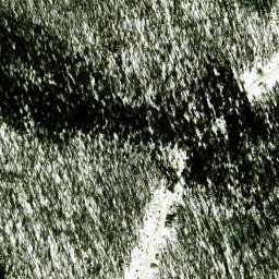 Satellite imagery of Oak Ridge, US