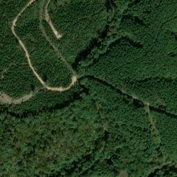 Satellite imagery of Copperas Branch Prospect, US